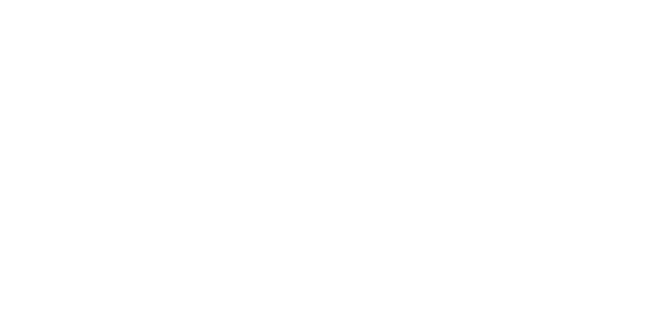 PlayAce